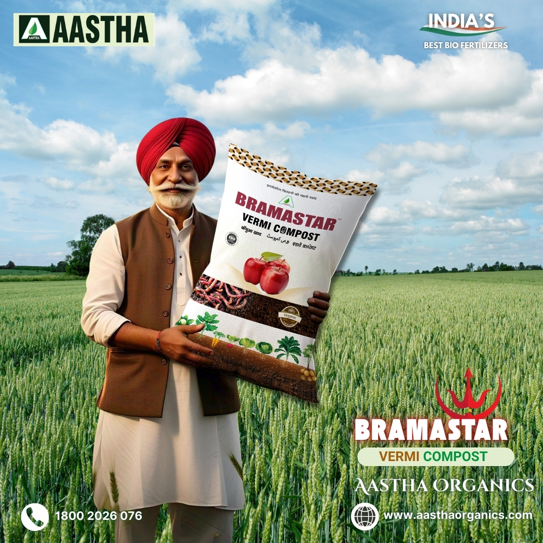 Best Bio Fertilizers of India Bramastra Vermi Compost